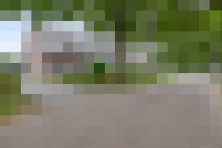 Peeleik 17 Helmond thumbnail 7