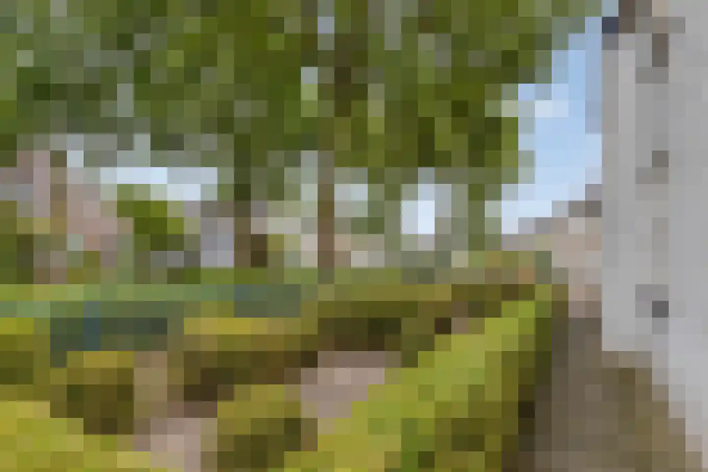 Peeleik 19 Helmond thumbnail 13