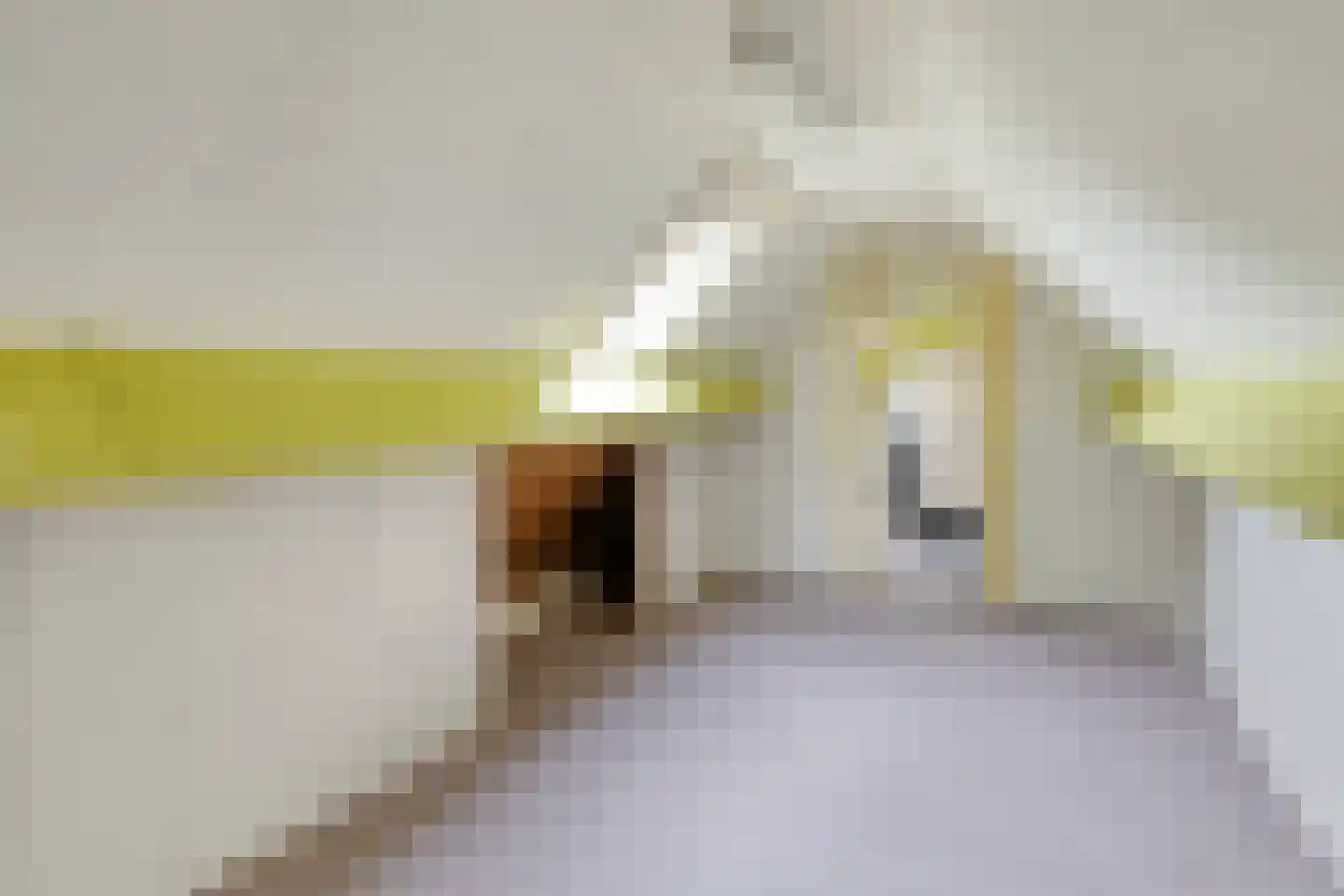 Peeleik 19 Helmond thumbnail 34