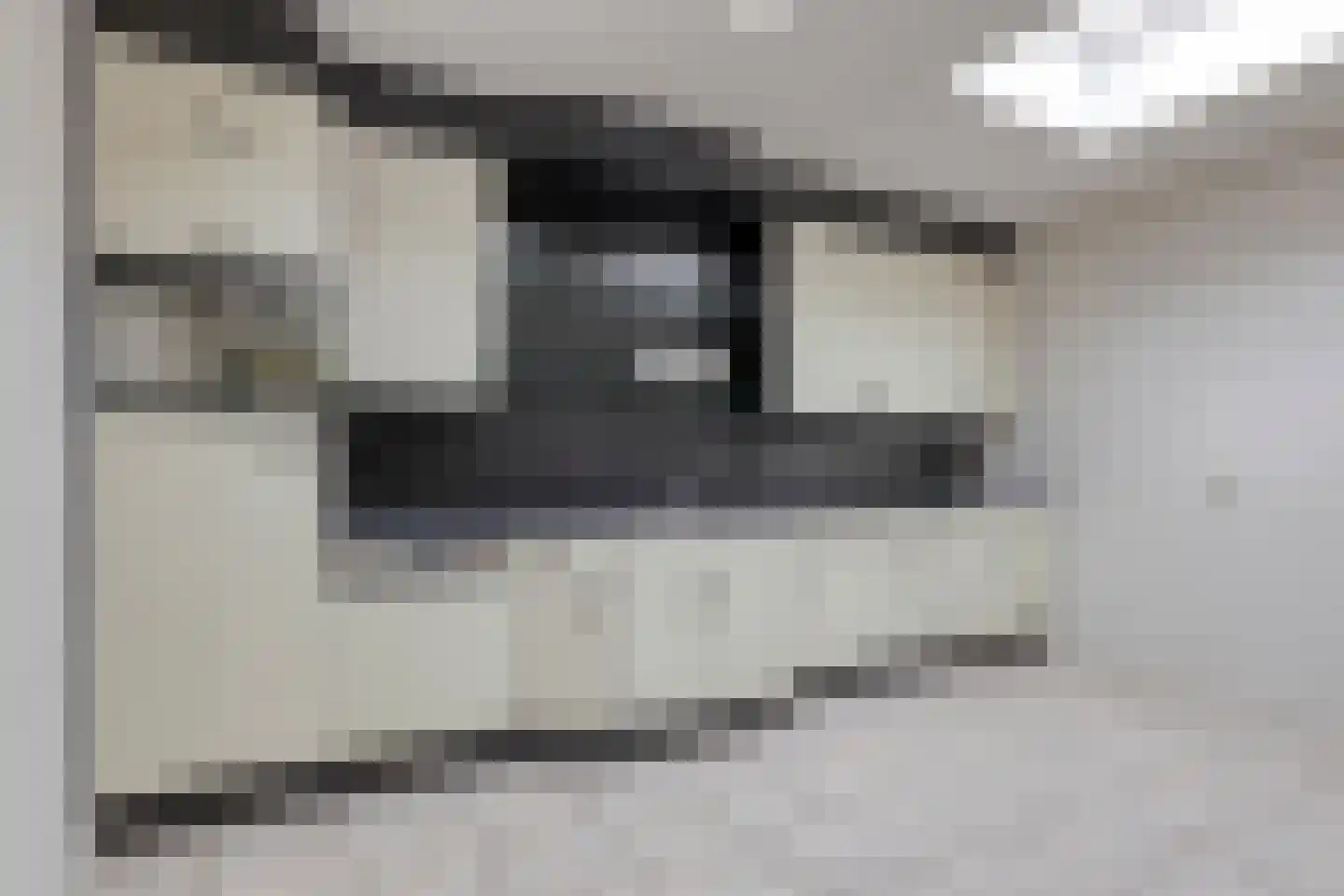 Peeleik 19 Helmond thumbnail 41