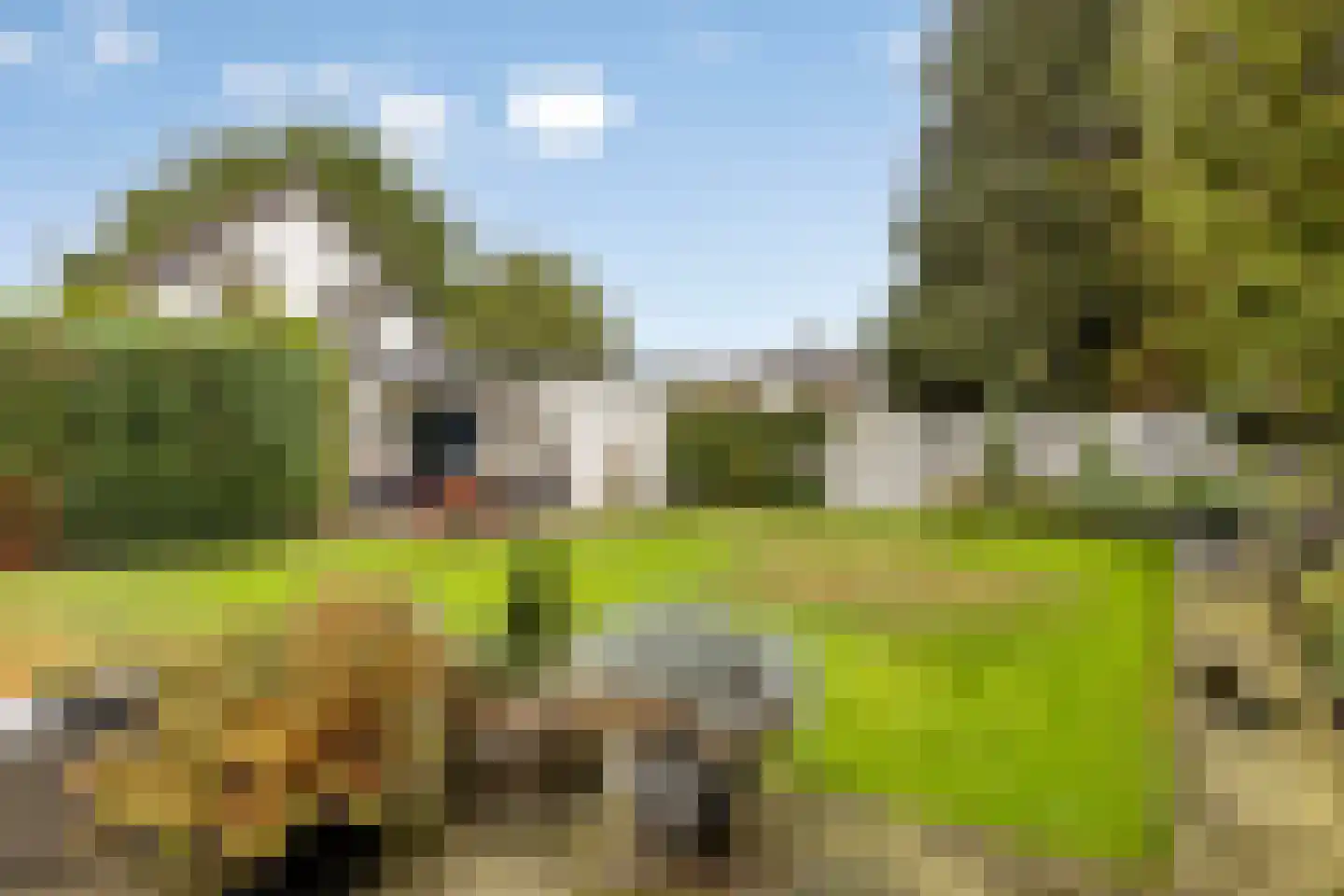 Peeleik 19 Helmond thumbnail 50
