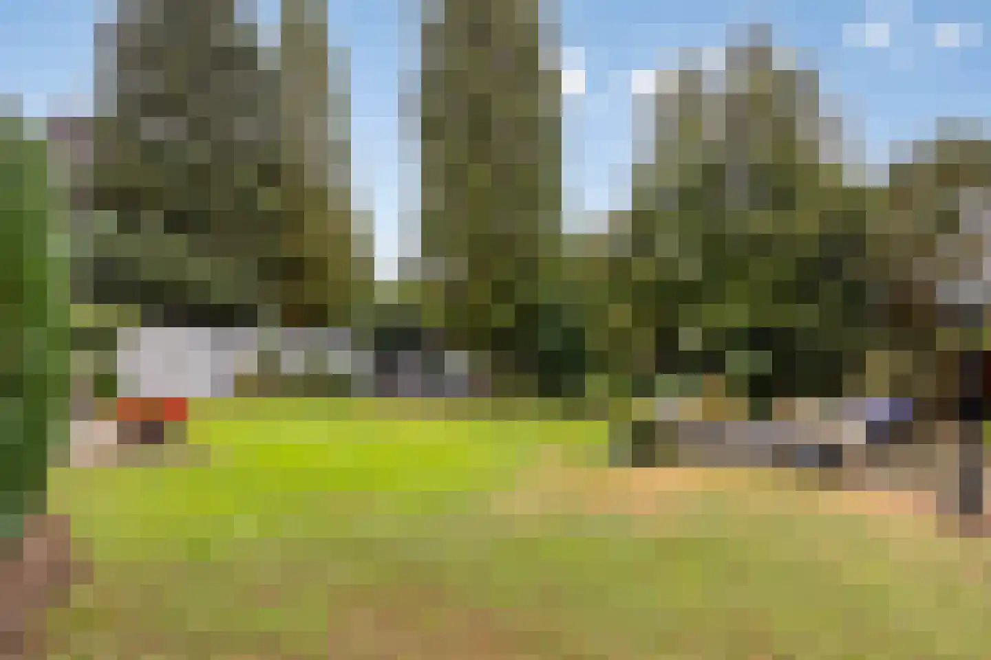 Peeleik 19 Helmond thumbnail 51