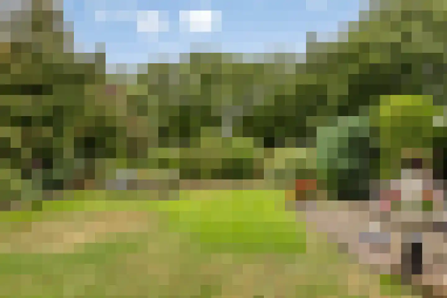 Peeleik 19 Helmond thumbnail 53