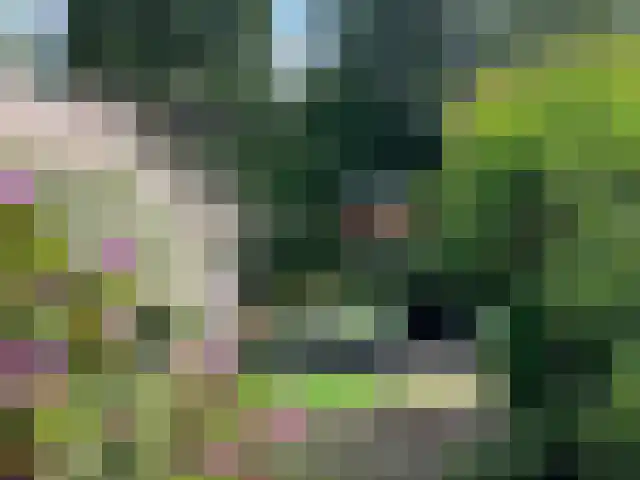 Peeleik 19 Helmond thumbnail 55