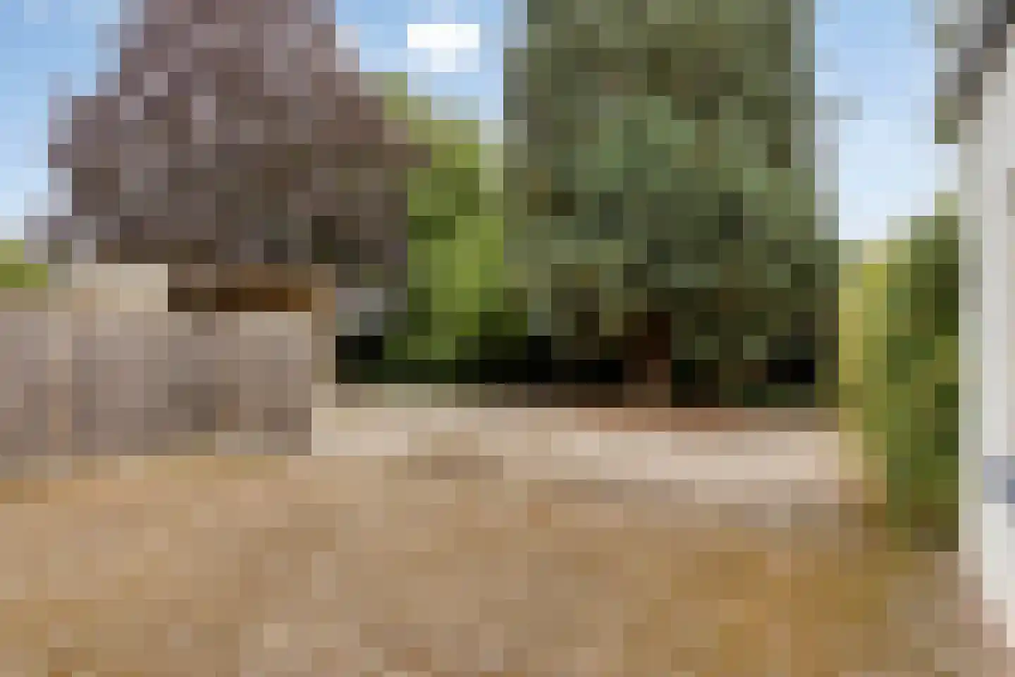 Peeleik 19 Helmond thumbnail 59