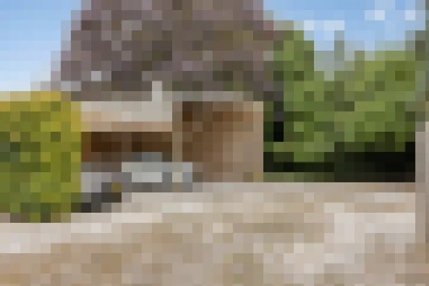 Peeleik 19 Helmond thumbnail 60
