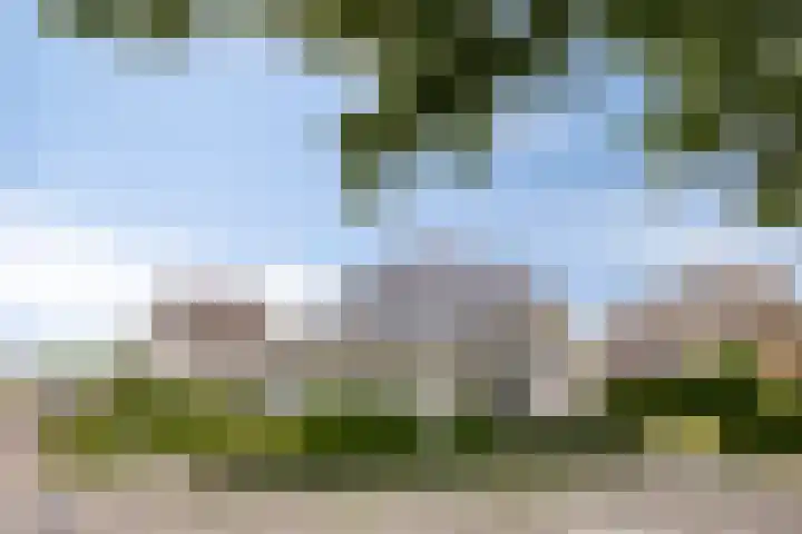 Peeleik 23 A Helmond thumbnail 10