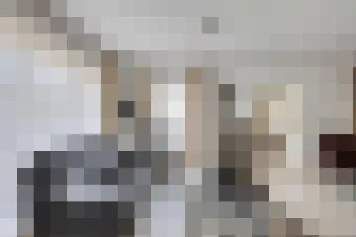 Peeleik 23 A Helmond thumbnail 17