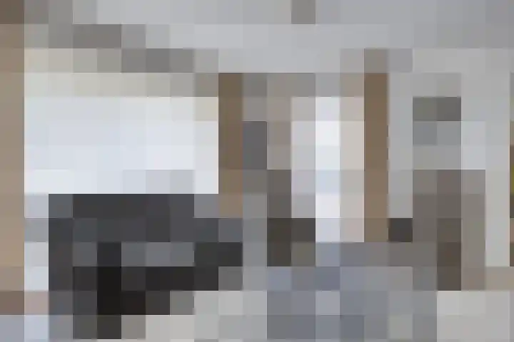 Peeleik 23 A Helmond thumbnail 19
