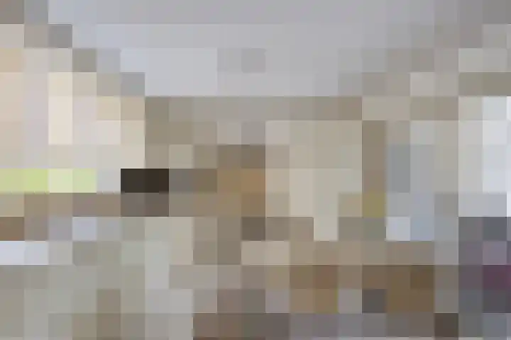 Peeleik 23 A Helmond thumbnail 23