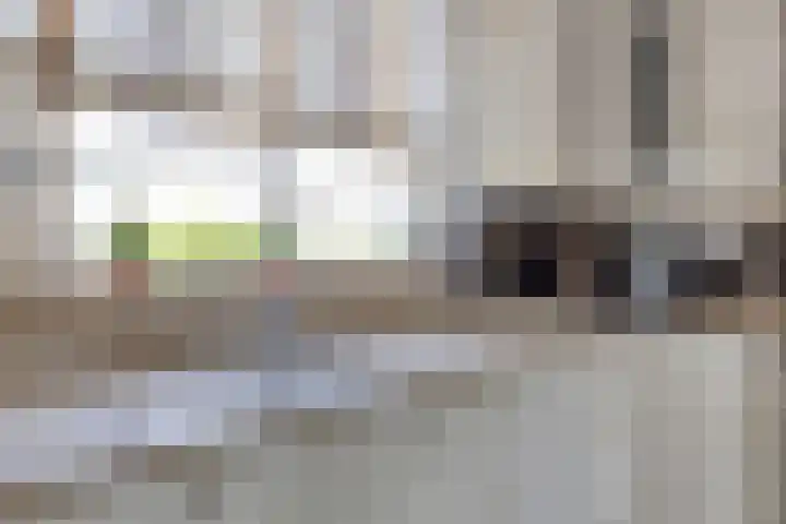Peeleik 23 A Helmond thumbnail 24