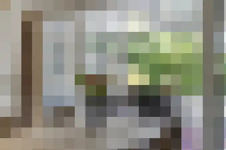 Peeleik 23 A Helmond thumbnail 25