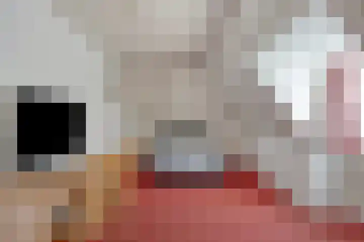 Peeleik 23 A Helmond thumbnail 38
