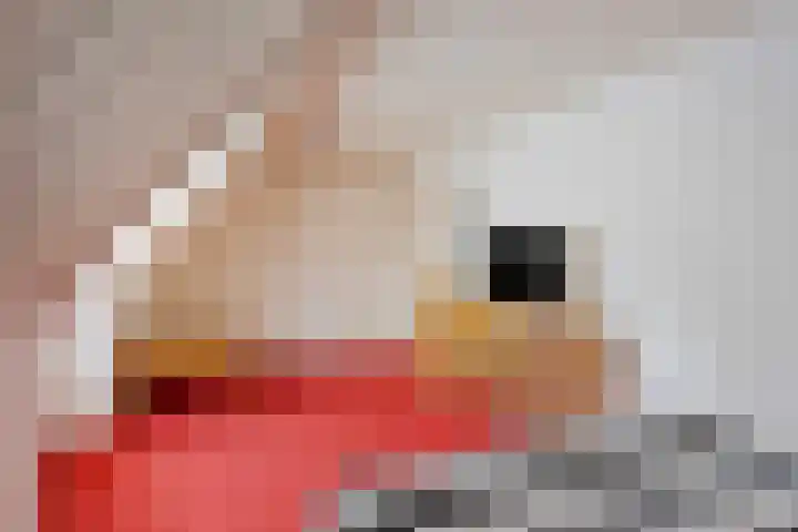 Peeleik 23 A Helmond thumbnail 39