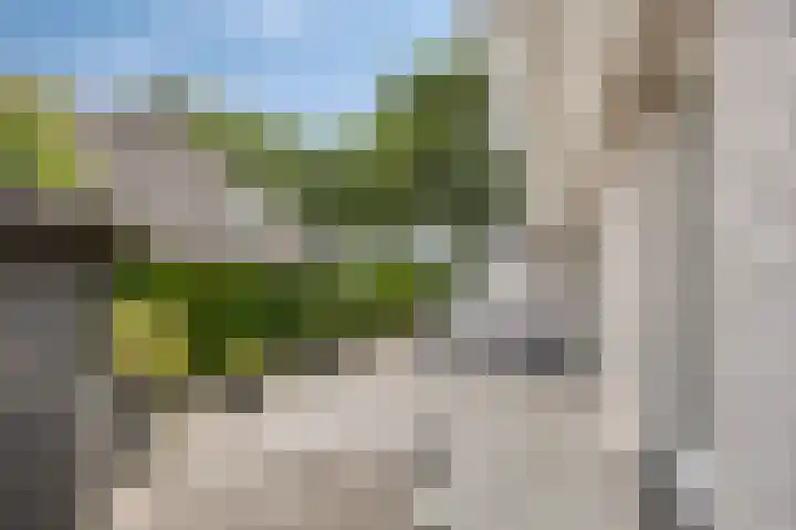 Peeleik 23 A Helmond thumbnail 45