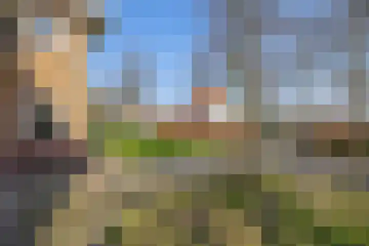 Peeleik 8 Helmond thumbnail 10