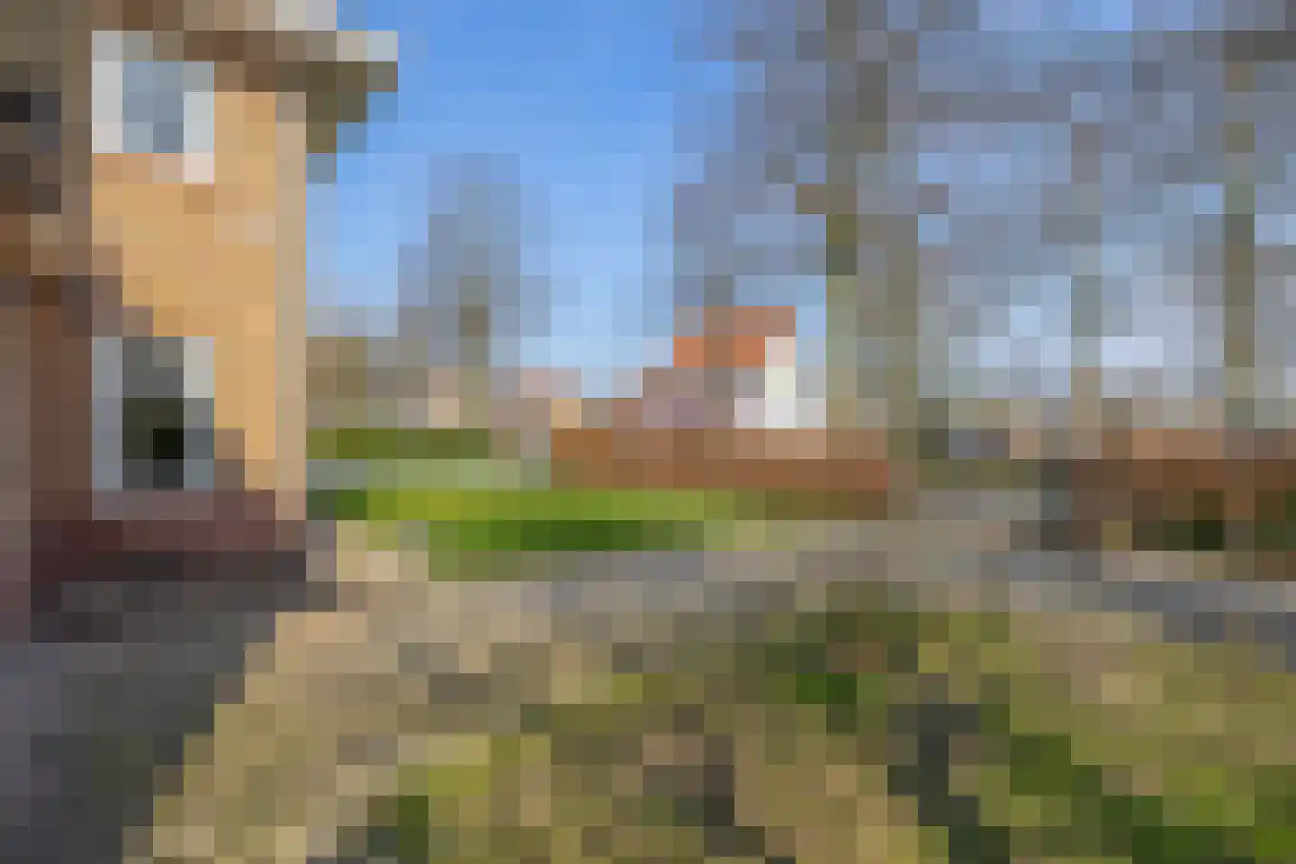 Peeleik 8 Helmond thumbnail 10