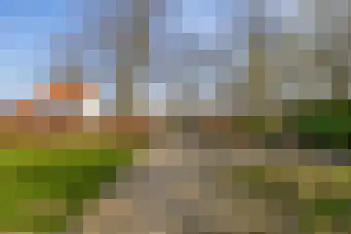 Peeleik 8 Helmond thumbnail 11