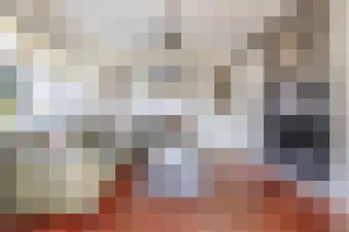 Peeleik 8 Helmond thumbnail 20