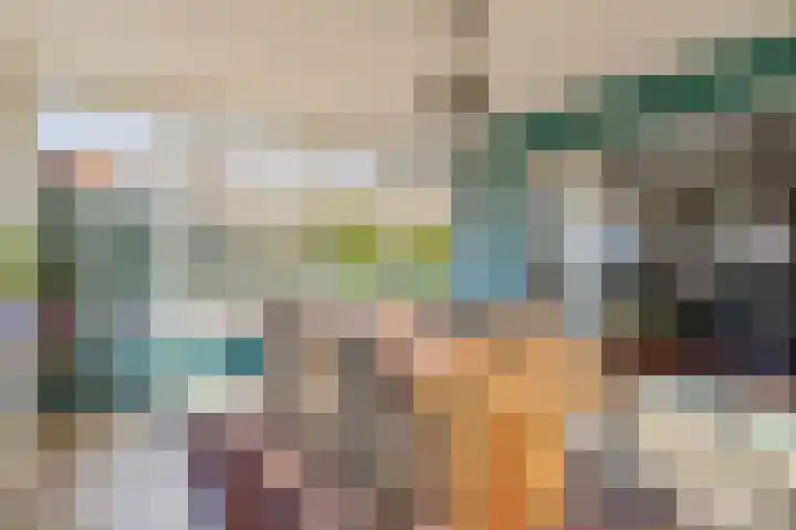 Peeleik 8 Helmond thumbnail 27
