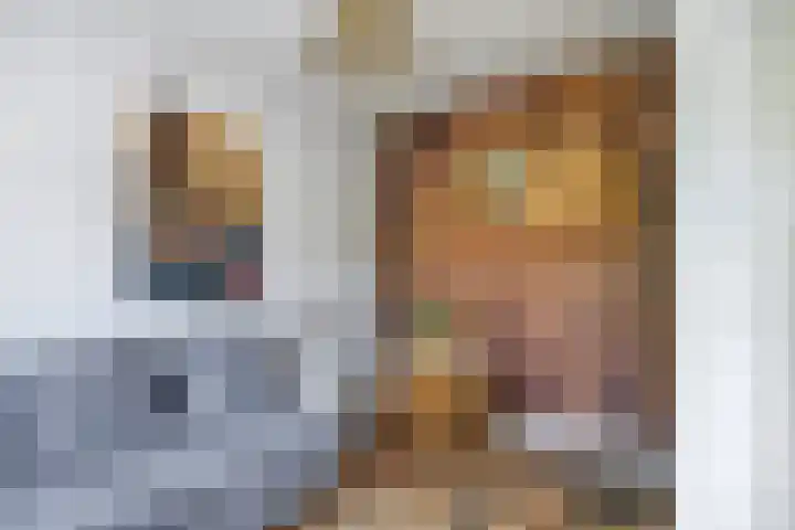 Peeleik 8 Helmond thumbnail 30