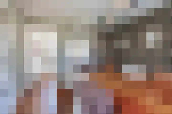 Peeleik 8 Helmond thumbnail 30