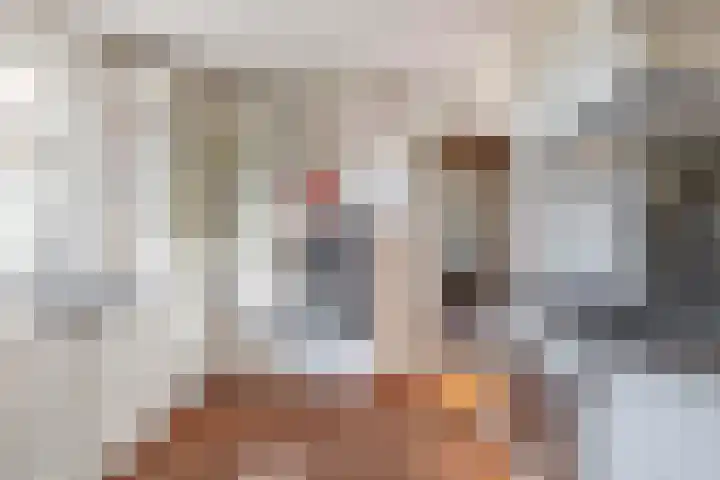Peeleik 8 Helmond thumbnail 32