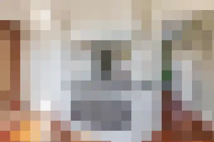 Peeleik 8 Helmond thumbnail 33