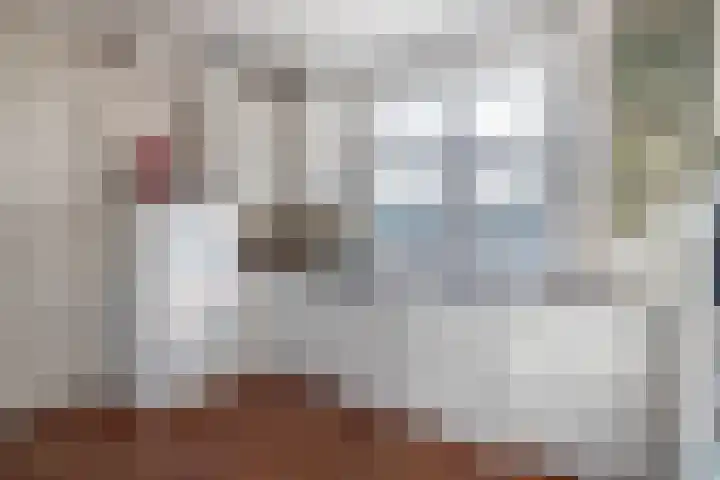 Peeleik 8 Helmond thumbnail 34