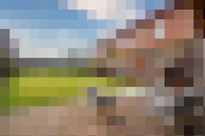 Peeleik 8 Helmond thumbnail 35