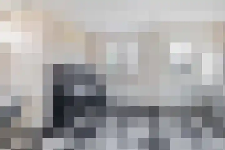 Peeleik 8 Helmond thumbnail 38