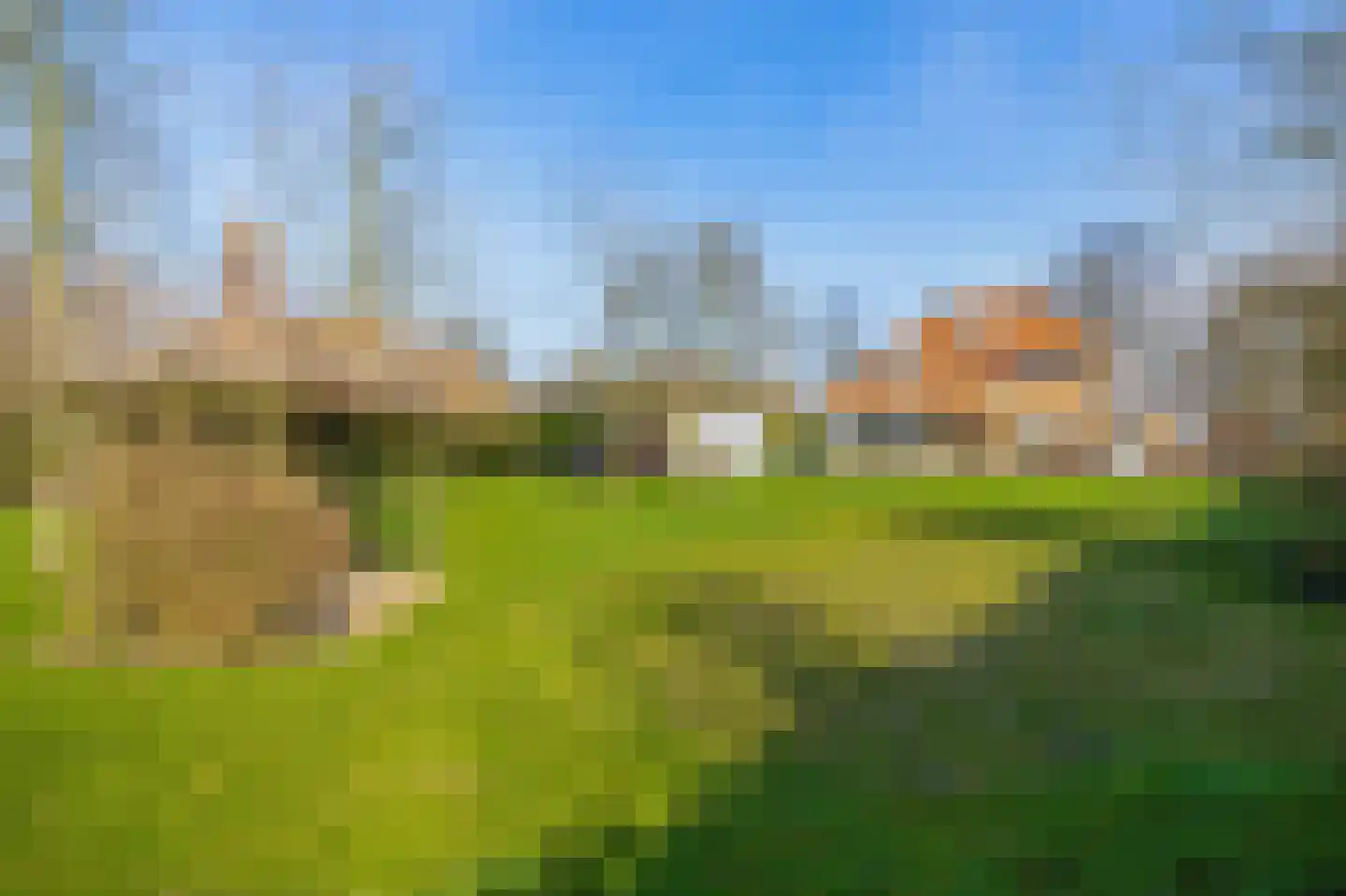 Peeleik 8 Helmond thumbnail 4