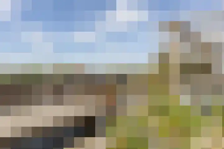 Peeleik 8 Helmond thumbnail 5