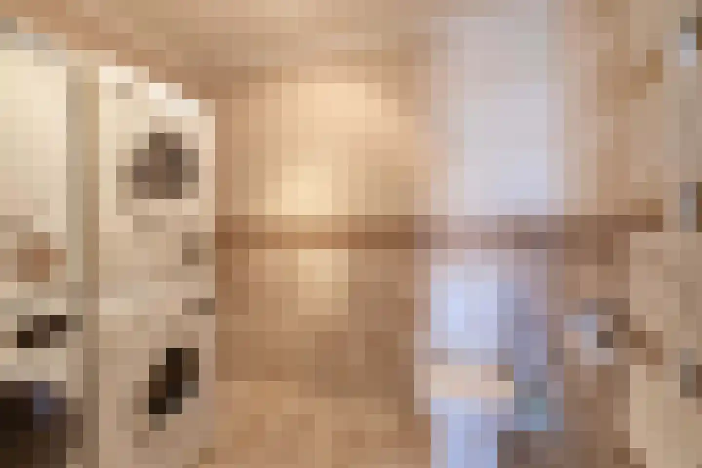 Peeleik 8 Helmond thumbnail 55