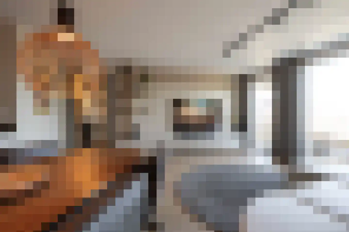 Peeleik 8 Helmond thumbnail 57