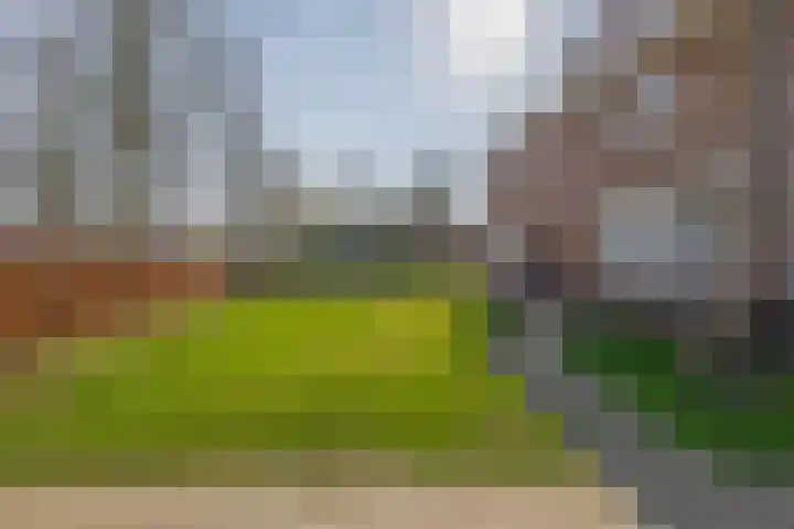 Peeleik 8 Helmond thumbnail 6