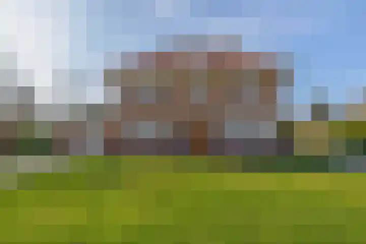 Peeleik 8 Helmond thumbnail 63