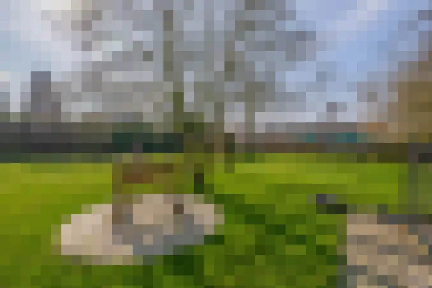 Peeleik 8 Helmond thumbnail 66