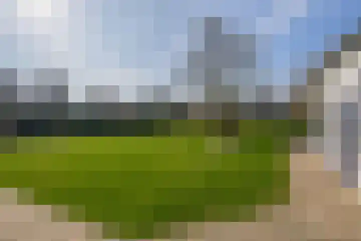 Peeleik 8 Helmond thumbnail 67