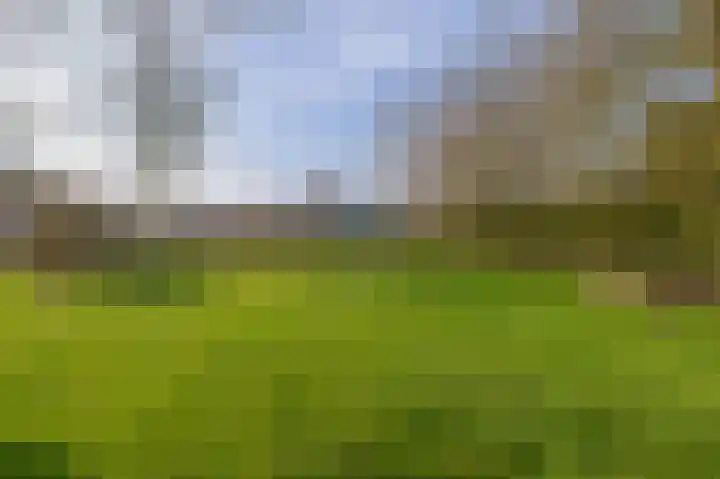 Peeleik 8 Helmond thumbnail 68