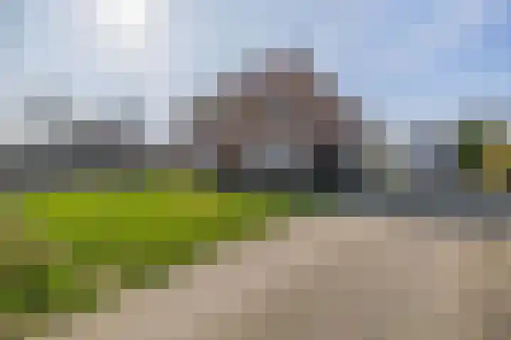 Peeleik 8 Helmond thumbnail 7
