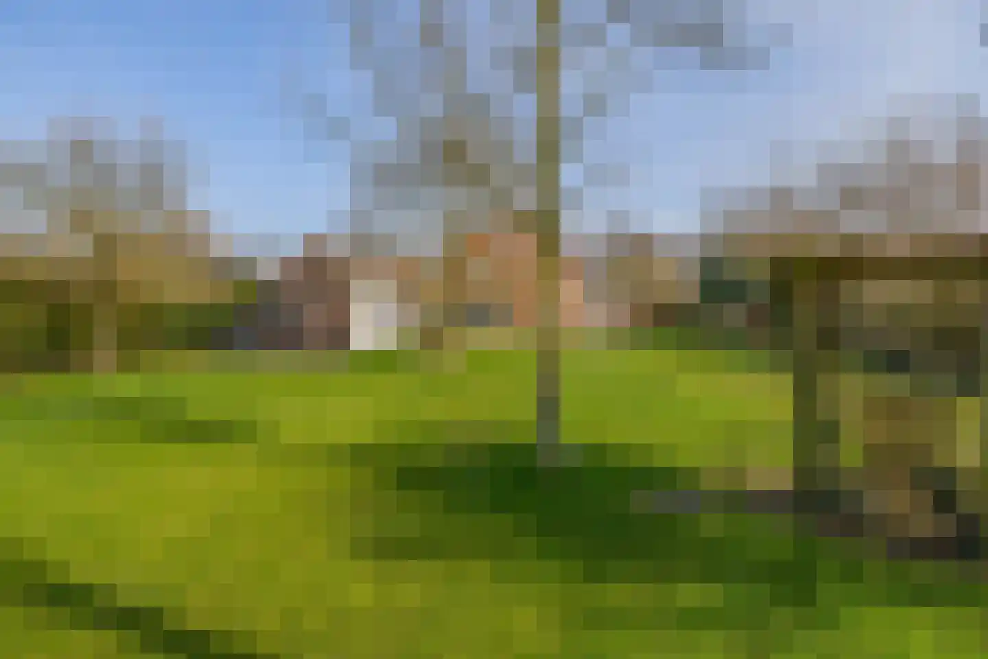 Peeleik 8 Helmond thumbnail 71