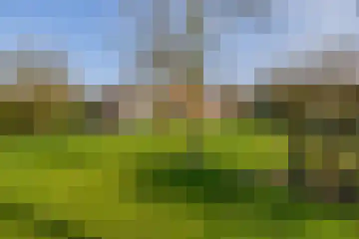 Peeleik 8 Helmond thumbnail 71