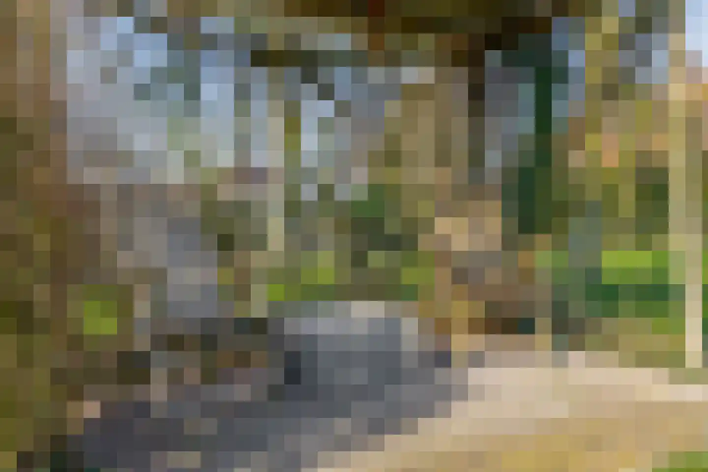 Peeleik 8 Helmond thumbnail 73