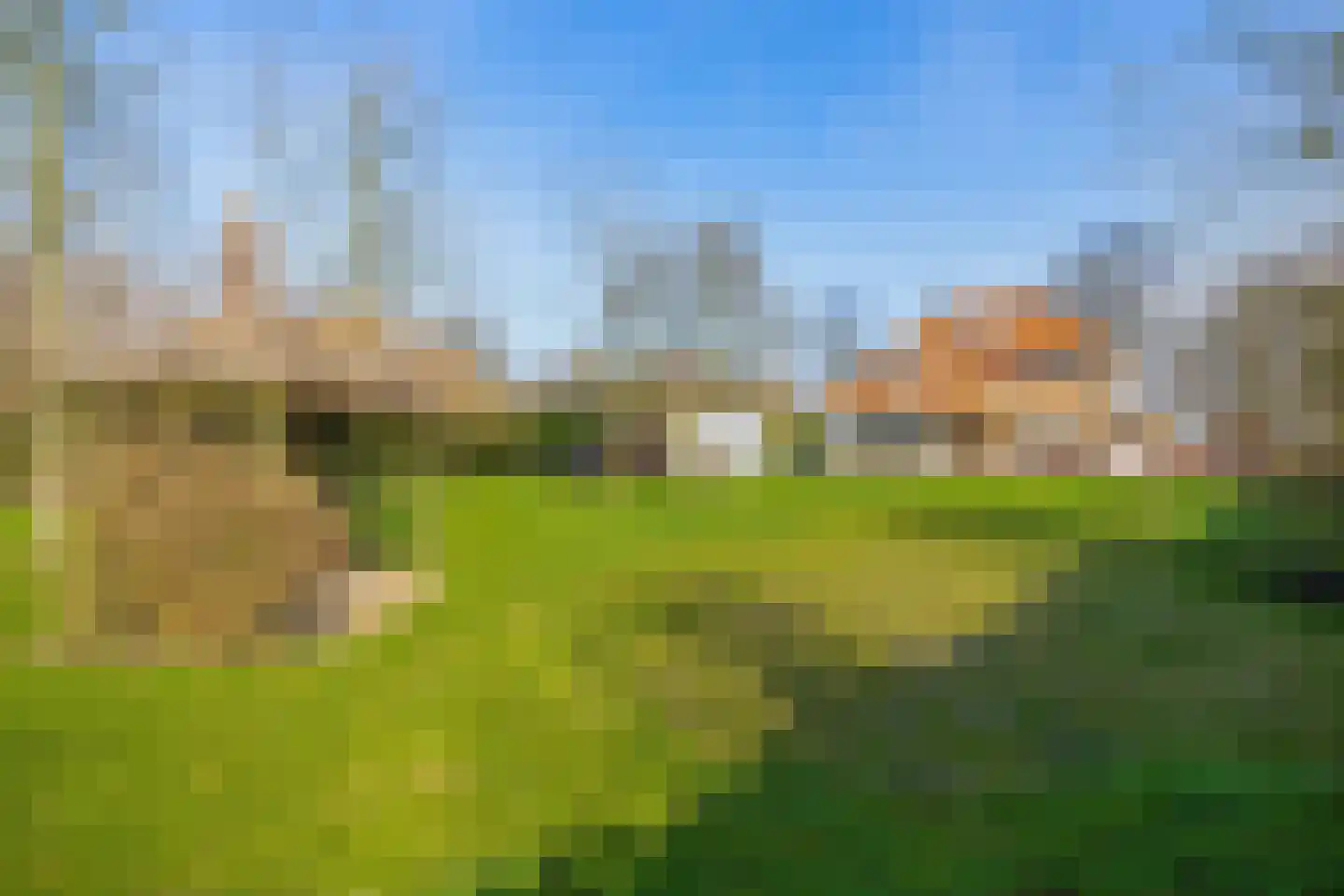 Peeleik 8 Helmond thumbnail 74