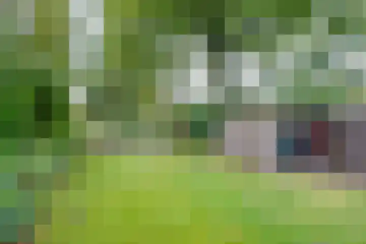 Peeleik 8 Helmond thumbnail 74