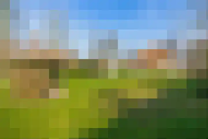 Peeleik 8 Helmond thumbnail 74
