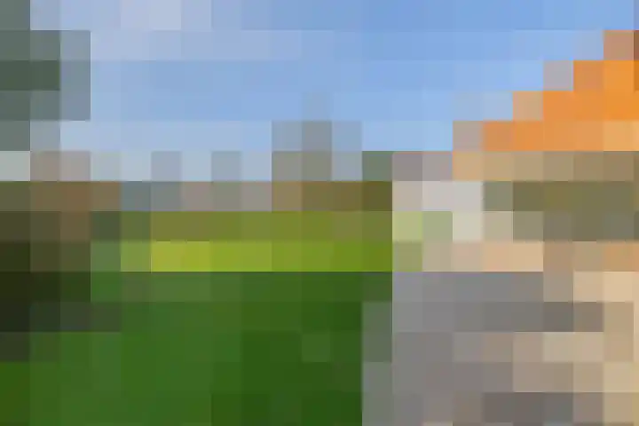 Peeleik 8 Helmond thumbnail 78