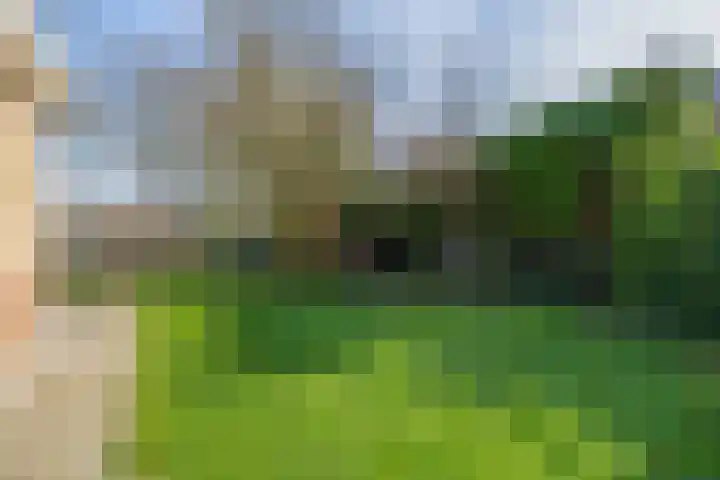 Peeleik 8 Helmond thumbnail 80