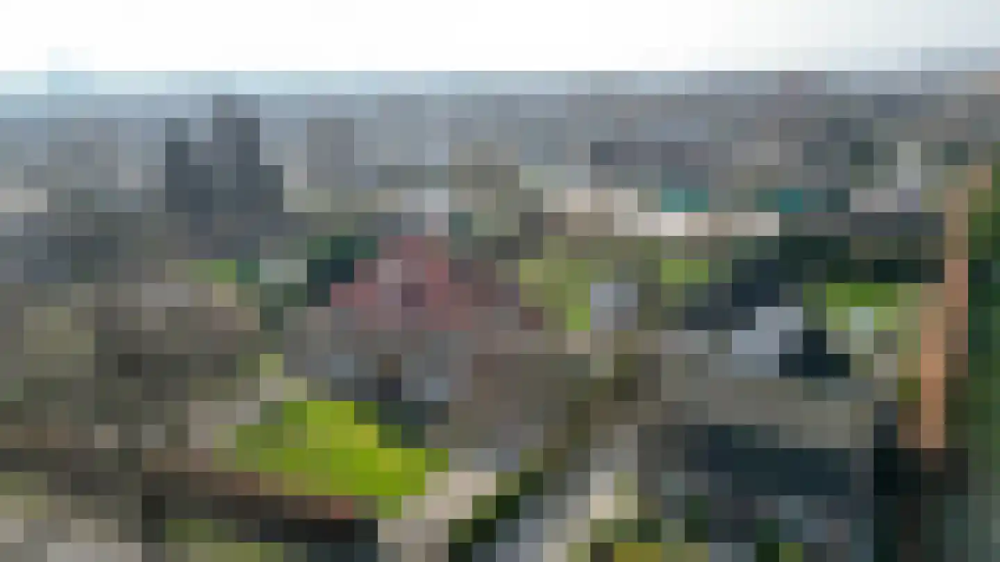 Peeleik 8 Helmond thumbnail 82